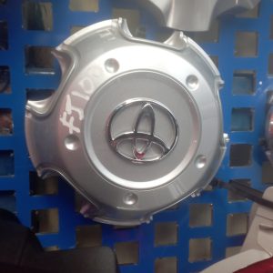 Toyota FJ100 Wheel Caps
